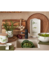 La Porcellana Bianca : plateau rectangulaire en porcelaine décor herbes