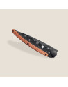 Deejo: Couteau de poche 37gr Astro finition titane noir manche bois corail