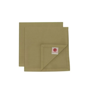 Tint: Duo de serviettes coton vert Boa 45x45 cm