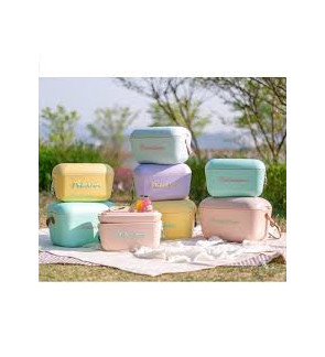 Polarbox: Vintage Retro 20 liter gele koelbox