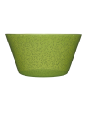 Memento: Groene Limoen saladekom 24 cm
