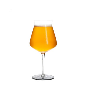 Bormioli: Duo de verres à Bière Teku 42 cl