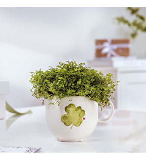 Villeroy & Boch: With Love "Good Luck" Mug 30cl