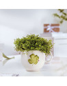 Villeroy & Boch: With Love "Good Luck" Mug 30cl