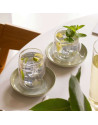 Villeroy & Boch: Artesano Hot & Cold Set van 2  dubbelwandige Latte Macchiatokopjes (25 cl)
