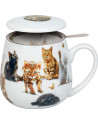 Konitz: Thee voor U katten 42 cl Konitz: Thee voor U katten 42 cl