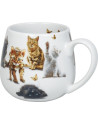 Konitz: Thee voor U katten 42 cl Konitz: Thee voor U katten 42 cl
