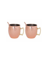 Cosy & Trendy: Twee Moscow Mule 450 ml met rietjes