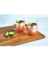 Cosy & Trendy: Twee Moscow Mule 450 ml met rietjes