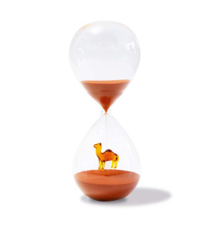 WD Lifestyle: Grand Sablier en borosilicate 30 min avec chameau en verre
