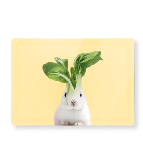 WD Lifestyle: Planche à découper en verre trempé lapin/epinard