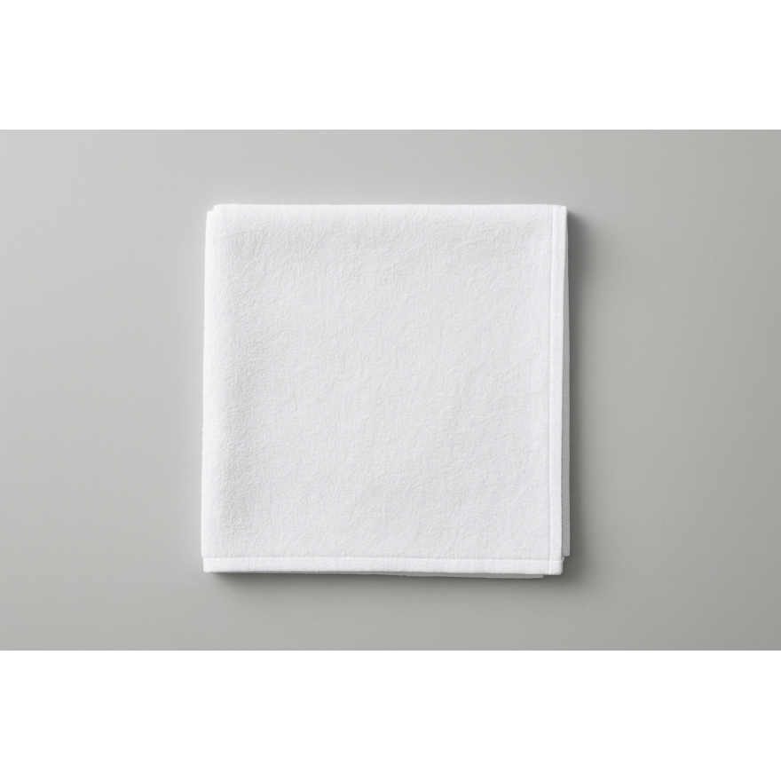 Tint: Duo de serviettes coton blanches 45x45 cm