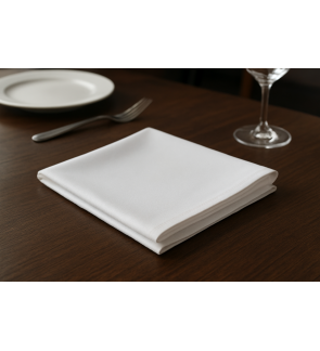 Tint: Duo de serviettes coton blanches 45x45 cm