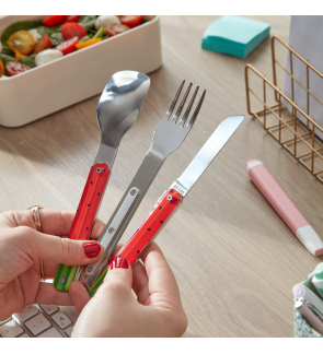 Akinod:  Set van 3 magnetisch reis-/picknickbestek watermeloen