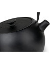 Bredemeijer: Guizhou zwarte gietijzeren theepot 0,75 liter