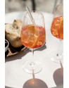 Schott Zwiesel: Blossom 4-pack Spritzglazen/Bordeauxrood