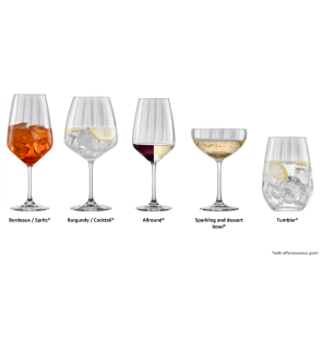 Schott Zwiesel: Blossom set van 4 witte/rode wijnglazen, 50cl