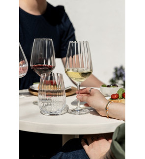 Schott Zwiesel: Blossom set van 4 witte/rode wijnglazen, 50cl