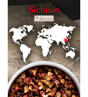 Peugeot:  Sichuan peperblokjes 40gr