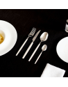 Sambonet Rosenthal: SIRO ivoire Coffret 24 pièces