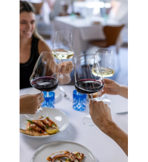 Riedel: Wine Wings cabernet wijnglas