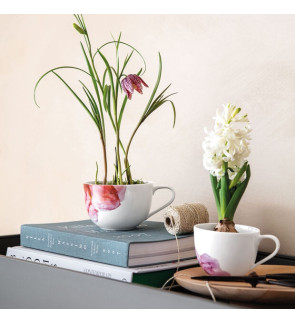 Villeroy &Boch: Rose Garden ontbijtkop zonder schotel