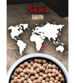 Peugeot:  Witte peper uit Madagascar SIKARA, 60g - 3 verse zakjes van 20g