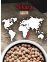 Peugeot:  Witte peper uit Madagascar SIKARA, 60g - 3 verse zakjes van 20g
