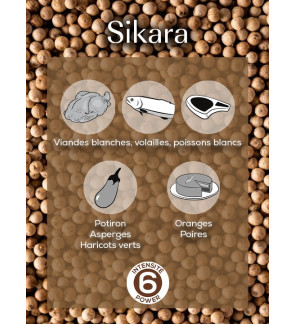Peugeot: Poivre blanc Sikara (Madagascar) 60g