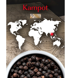 Peugeot: Poivre noir Kampot (Cambodge) 60g