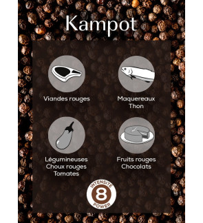 Peugeot: Poivre noir du Cambodge Kampot, 60g - 3 sachets fraicheur de 20g