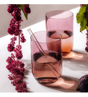 Riedel: Xtreme verre Pinot noir 75 cl
