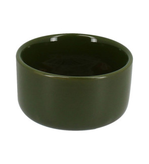 Dutch Rose: Organic Saladier 23 cm Vert