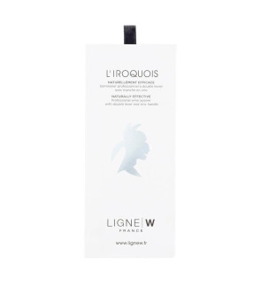 Ligne W: L'Iroquois Sommelier Zinc