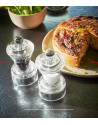 Peugeot:  Bistro Moulin  à sel 10 cm en acryl
